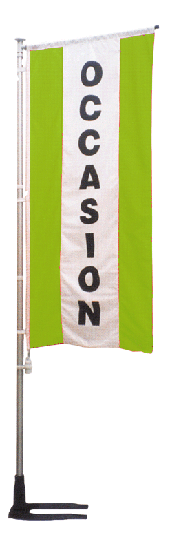 Kit mat et drapeau occasion vert à bandes latérales 4 m - Autosignal&eacute;tique