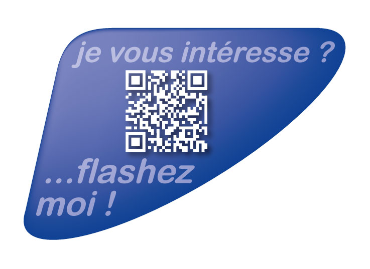 Autocollant qr code annonce automobile personnalisé bleu - Autosignal&eacute;tique
