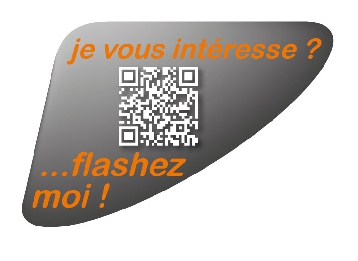 Autocollant qr code annonce automobile personnalisé gris - Autosignal&eacute;tique