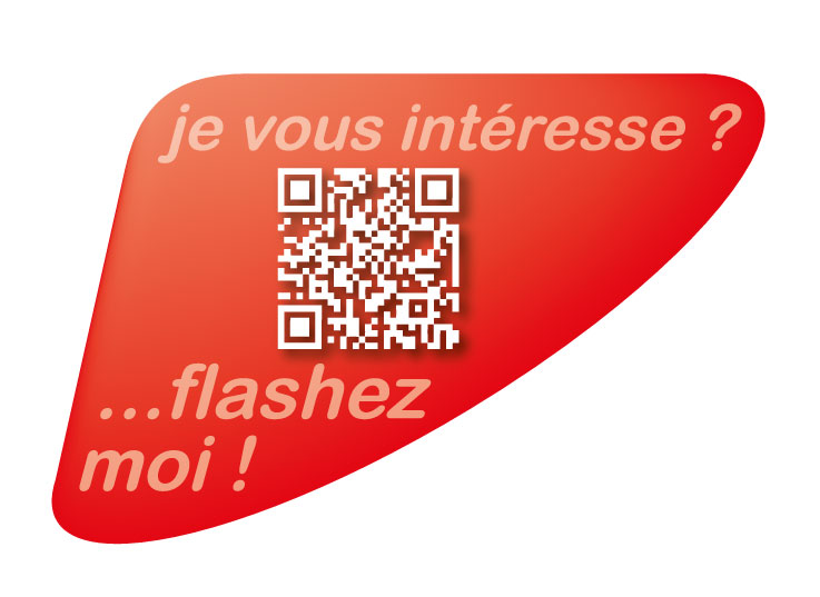 Autocollant qr code annonce automobile personnalisé rouge - Autosignal&eacute;tique