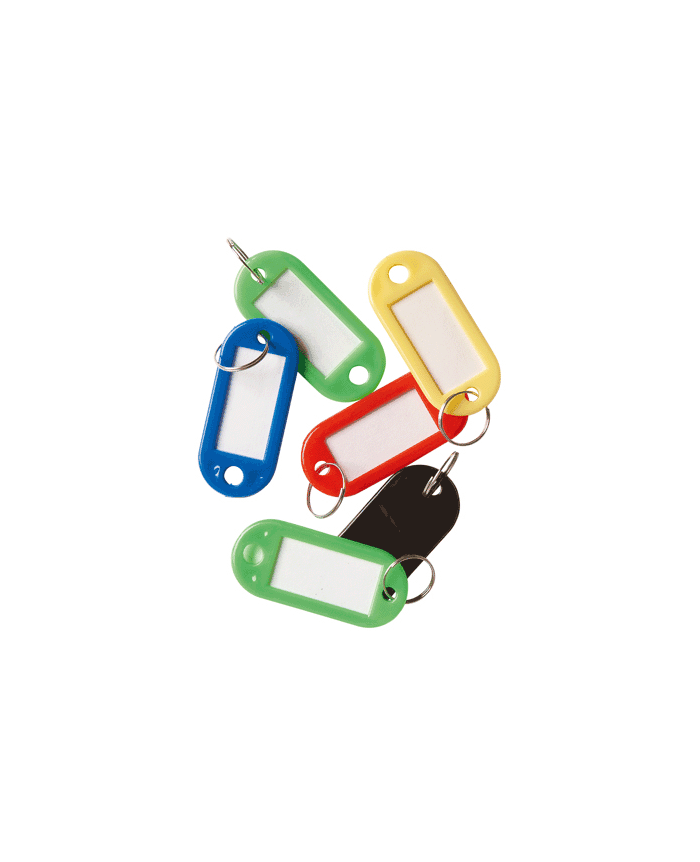 Porte clef avec assortiments de couleurs avec étiquettes le lot de 100 -  Autosignalétique